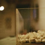 Ночь в музее: Zen Dai MOMA / Фото: Лена Килина Ночь в музее: Zen Dai MOMA / Фото: Лена Килина